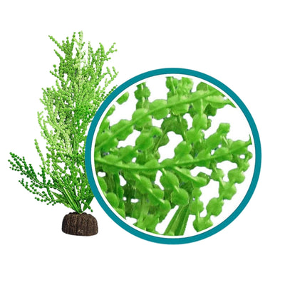 Weco Products Marine Pro Series Giant Halimeda Aquarium Plant Green, 1ea/9 in