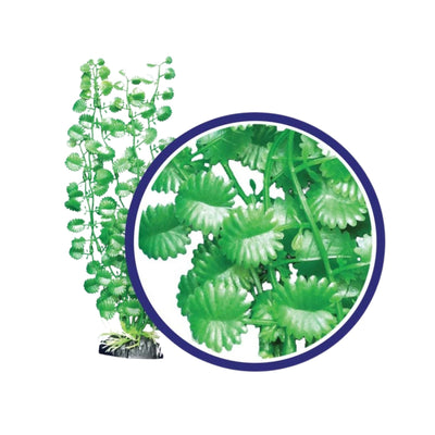 Weco Products Freshwater Series Japanese Cress Aquarium Plant Green, 1ea/12 in