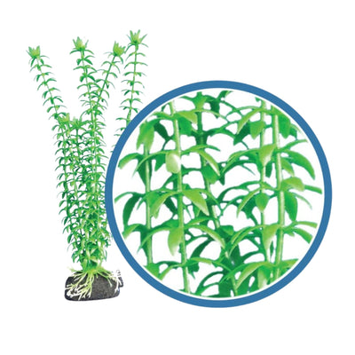 Weco Products Freshwater Pro Series Tonina Aquarium Plant Green, 1ea/12 in