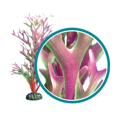 Weco Products Marine Pro Series Giant Kelp Aquarium Plant Red, 1ea/30 in, Giant