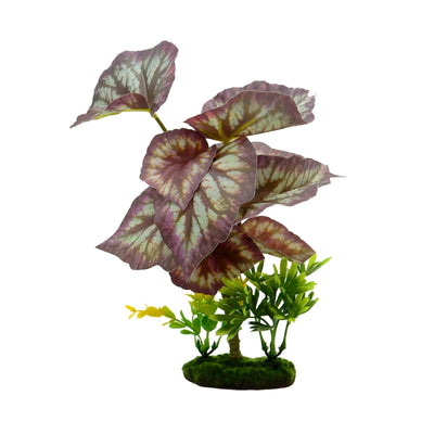 Blue Ribbon Pet Products Tropical Gardens Caladium Bicolor Aquarium Plant 1ea/11in.