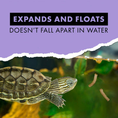 Zilla Reptile Food Turtle Sticks Floating Digestive Support