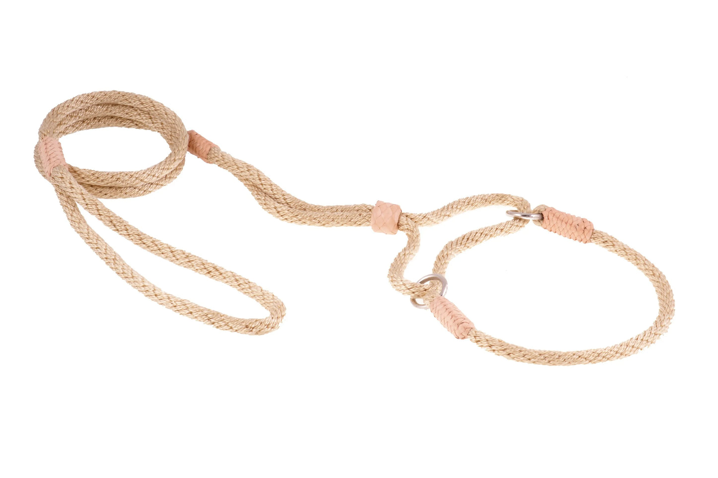 Nylon Martingale Leads (10in x 1/4in or 6mm) - Your Pet Connection