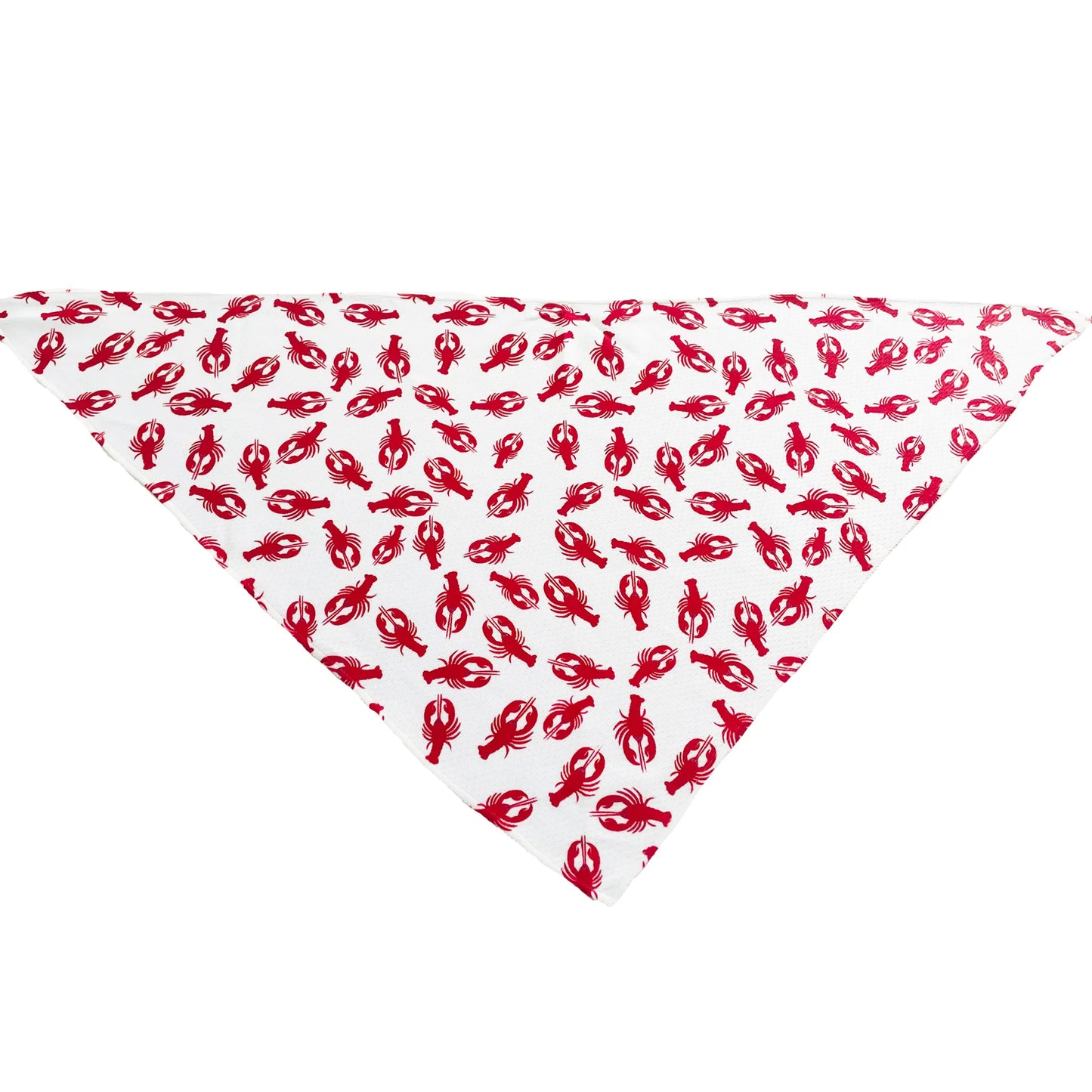 Cutie Ties Tie On Dog Bandana - Your Pet Connection