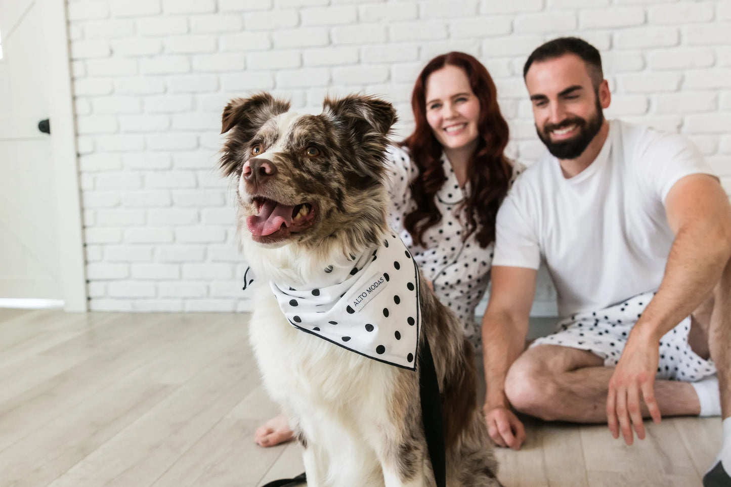 Buddy Dog Bandana - Your Pet Connection