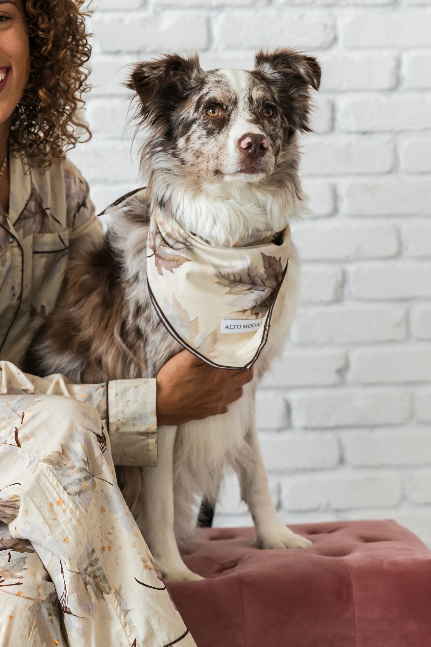 Buddy Dog Bandana - Your Pet Connection