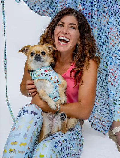 Blue Buddies Harness Large Stylish Adjustable Outdoor Gear