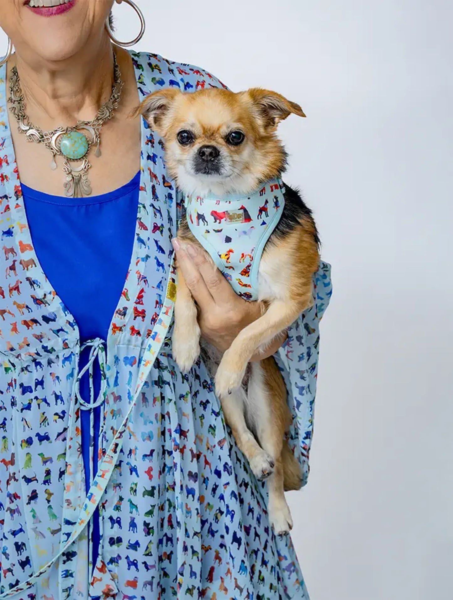 Blue Buddies Harness Small: Stylish Comfort Dog Harness