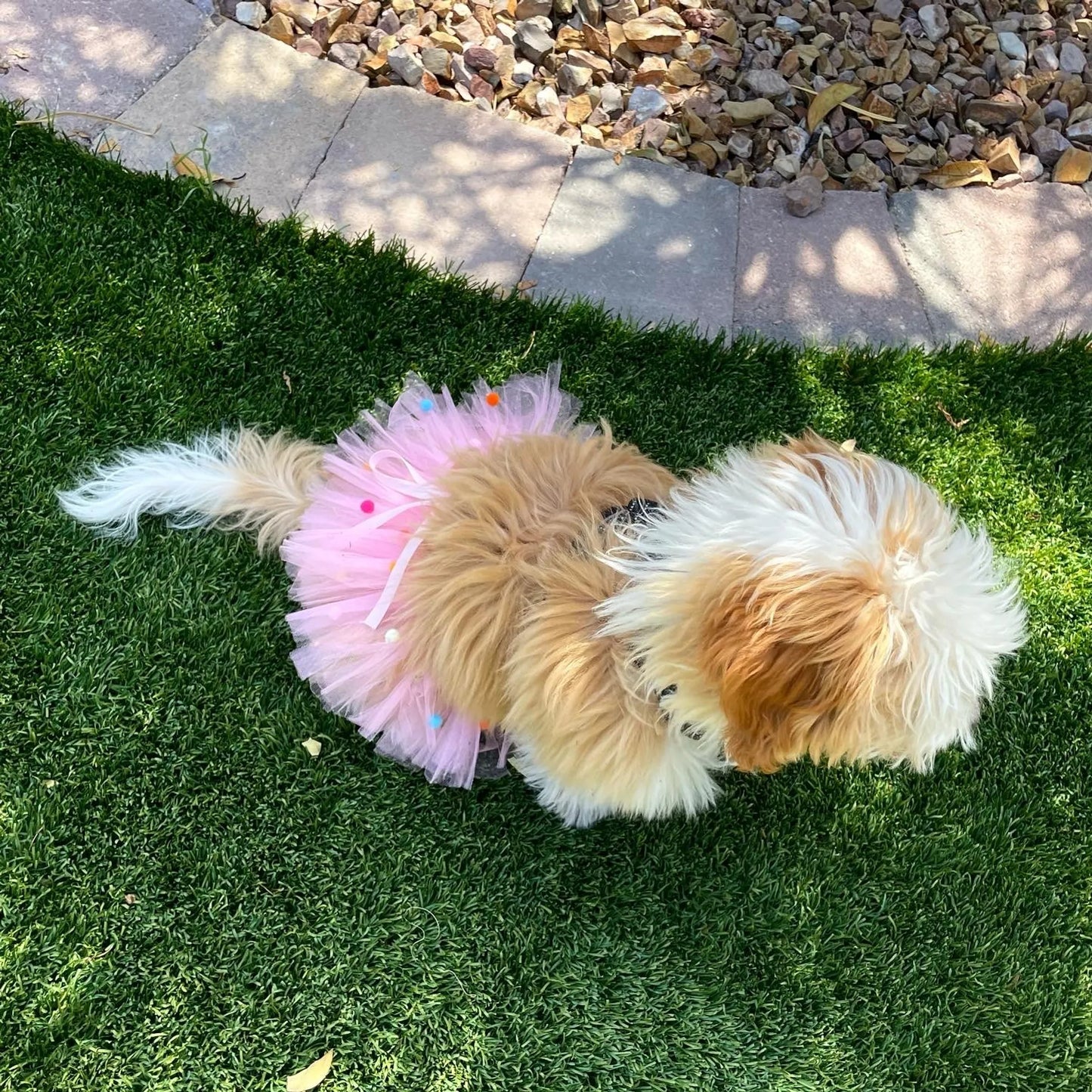 Pink Pom Pom Dog Tutu Skirt (XS) - Your Pet Connection