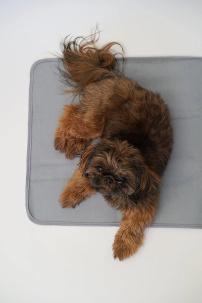 Thera-Pawz Warming Pad - Your Pet Connection
