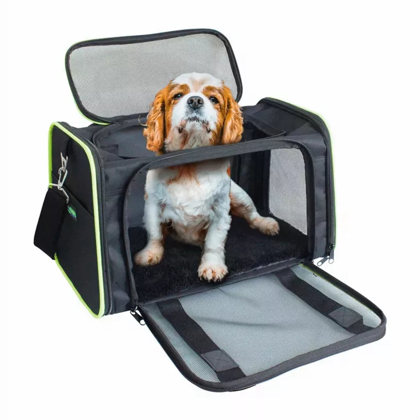 JESPET Luxury Pet Travel Carrier 17x12x10