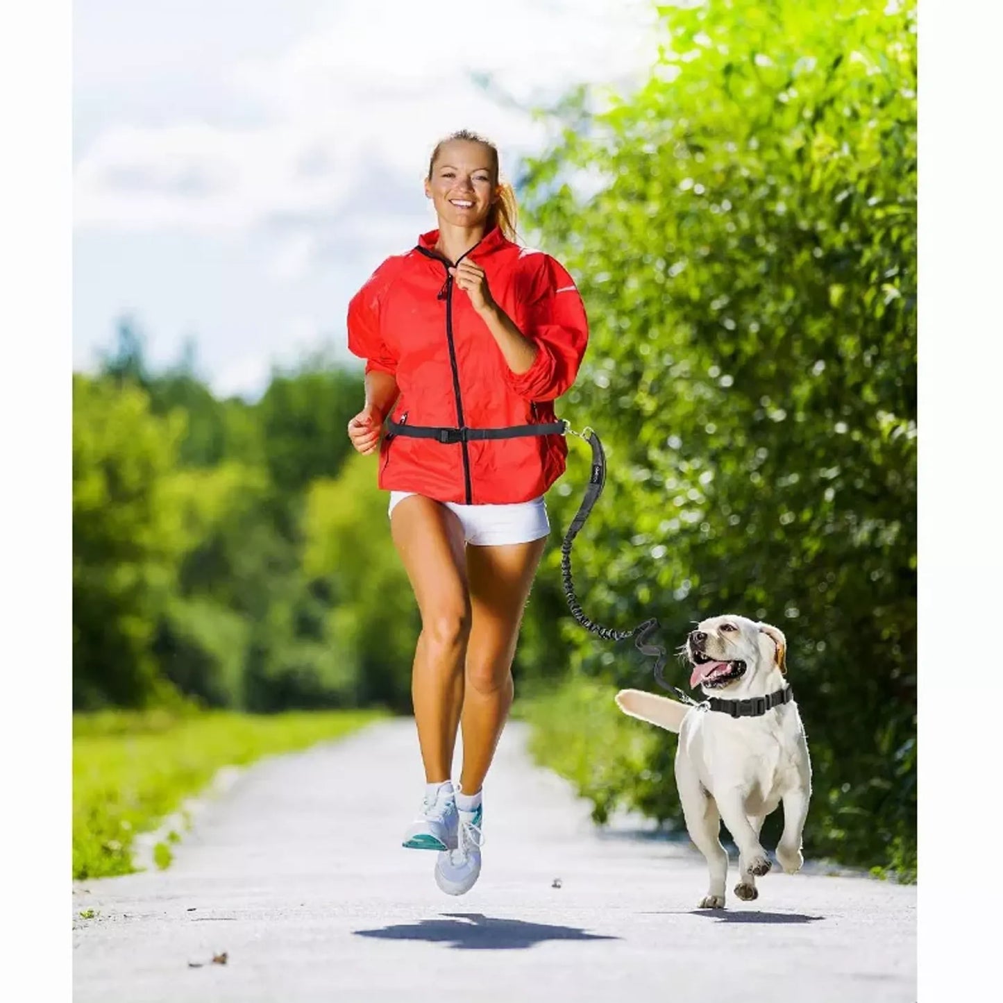 JESPET Hands-Free Dog Leash Ultimate Comfort