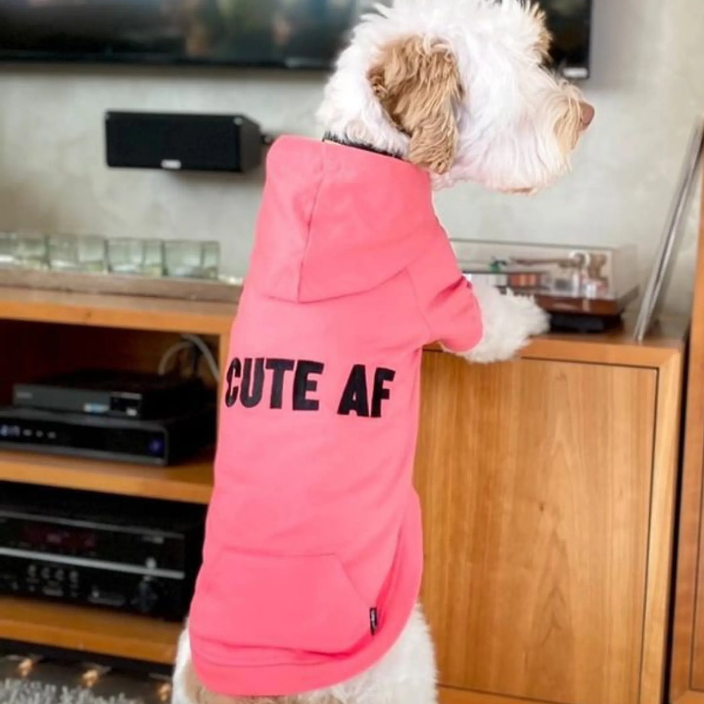 The Everyday Hoodie - CUTE AF - Your Pet Connection