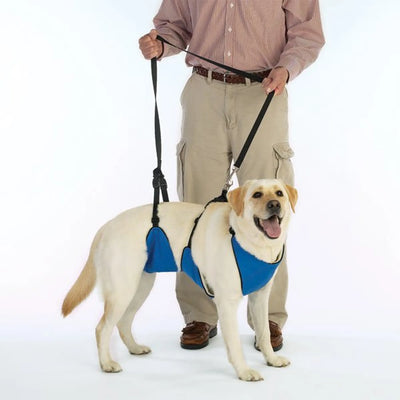 Total Pet Health Mobility Harness Blue Large