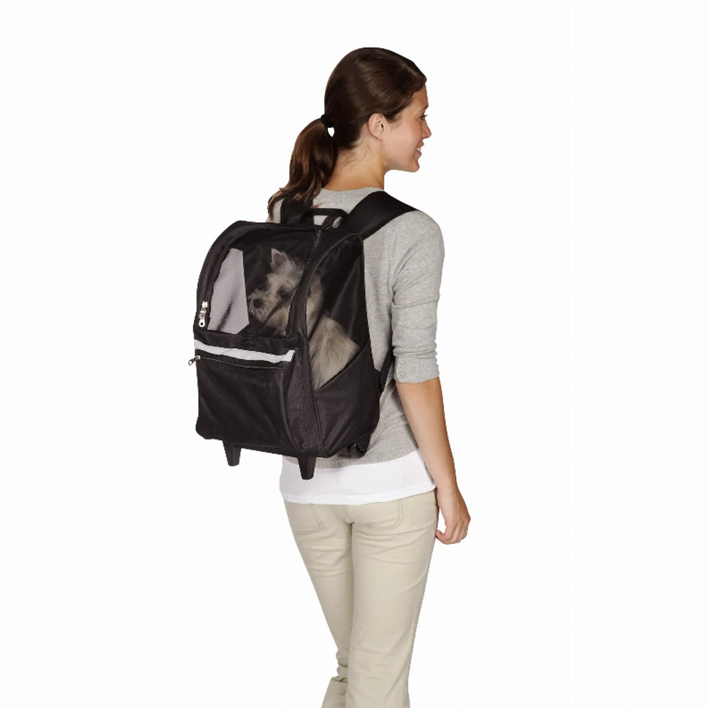 CR On the Go Rolling Backpack Blk - Your Pet Connection