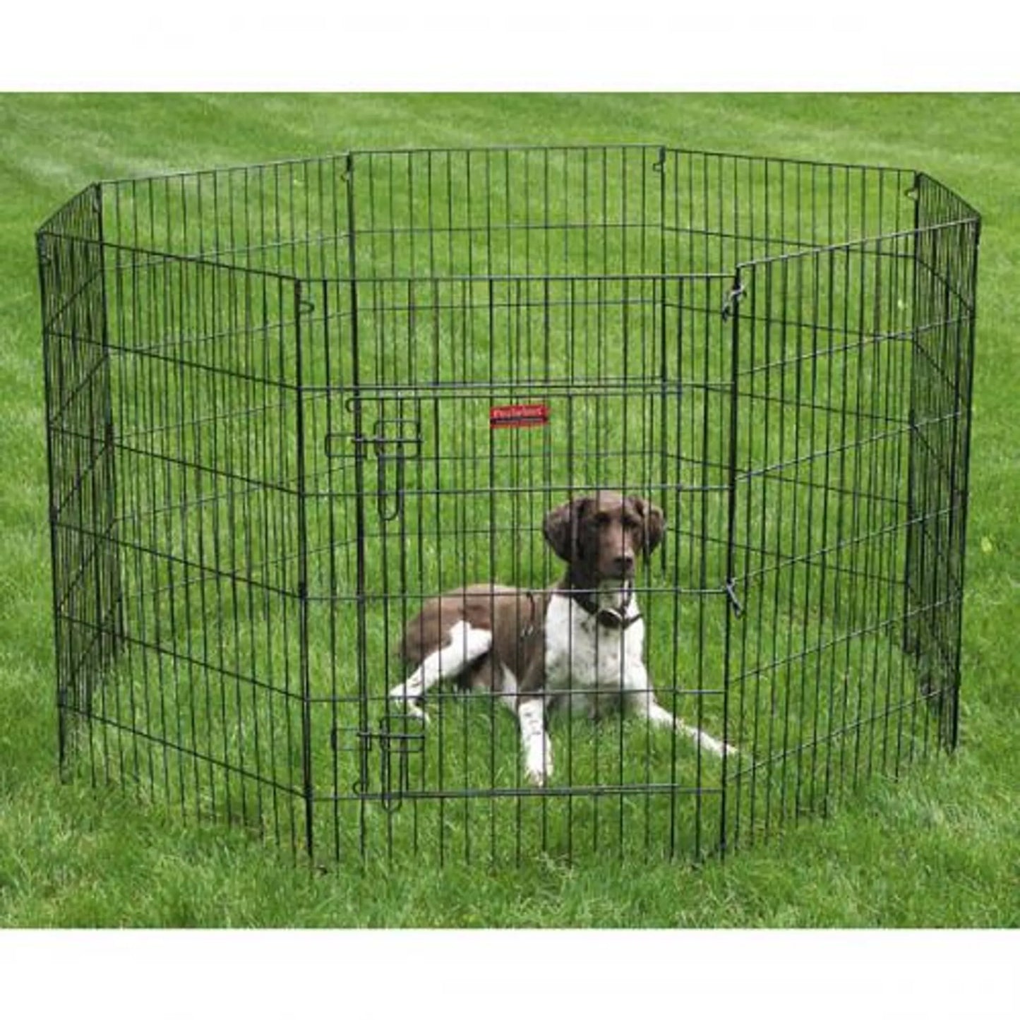 Proselect Durable Foldable Pet Playpen 18 Inches