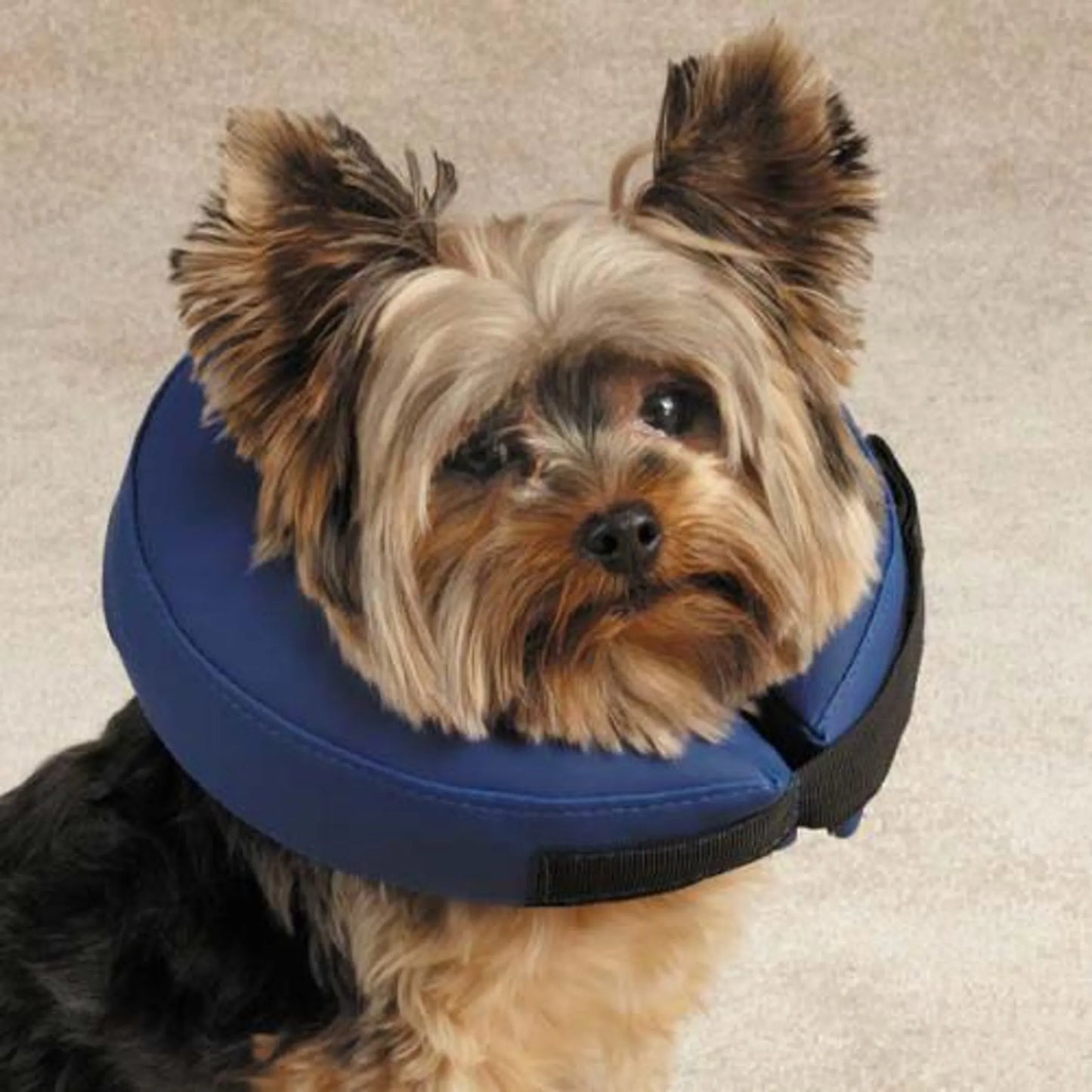 Total Pet Health Inflatable Recovery Collar XL Blue