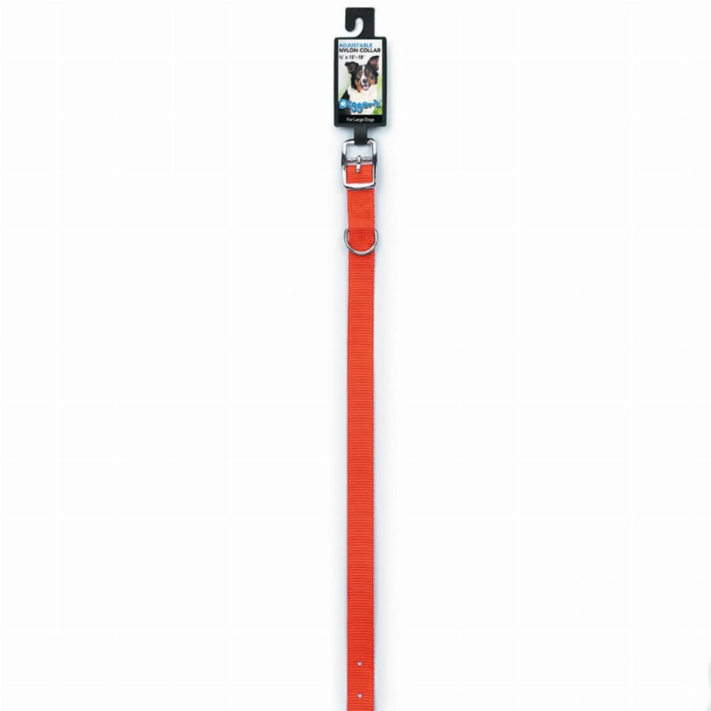 DGR 3/4in Nylon Collar 16in Blue - Your Pet Connection
