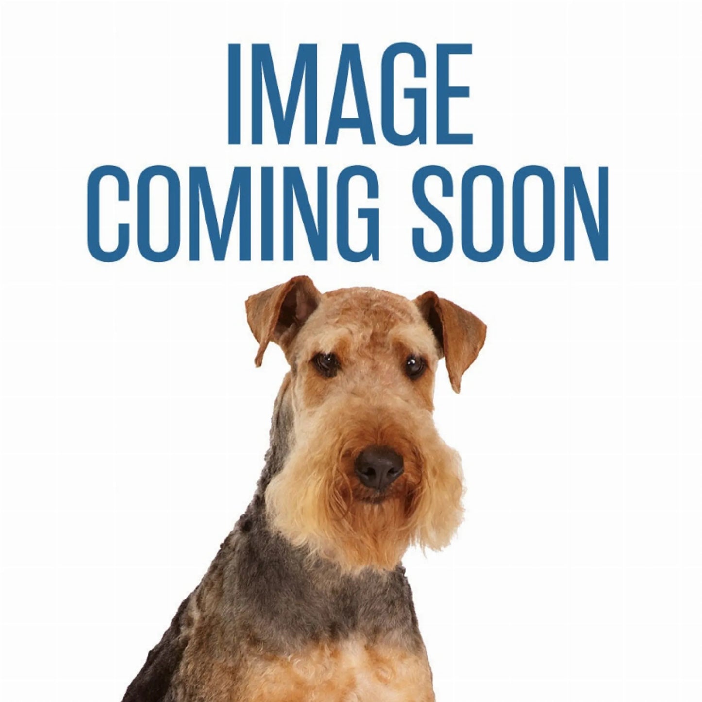 Chomper Braided Rope Dog Toy 350mm