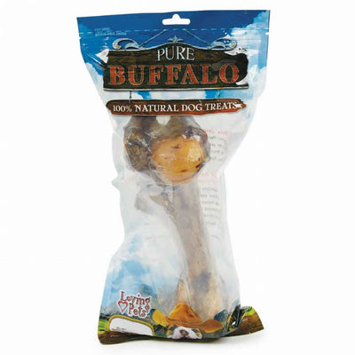 LP 12-13 in Shoulder Bone