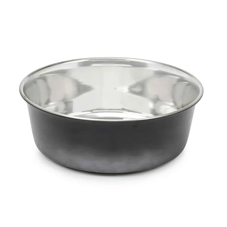 PS Stainless Steel Ombre Bowl Large - Your Pet Connection