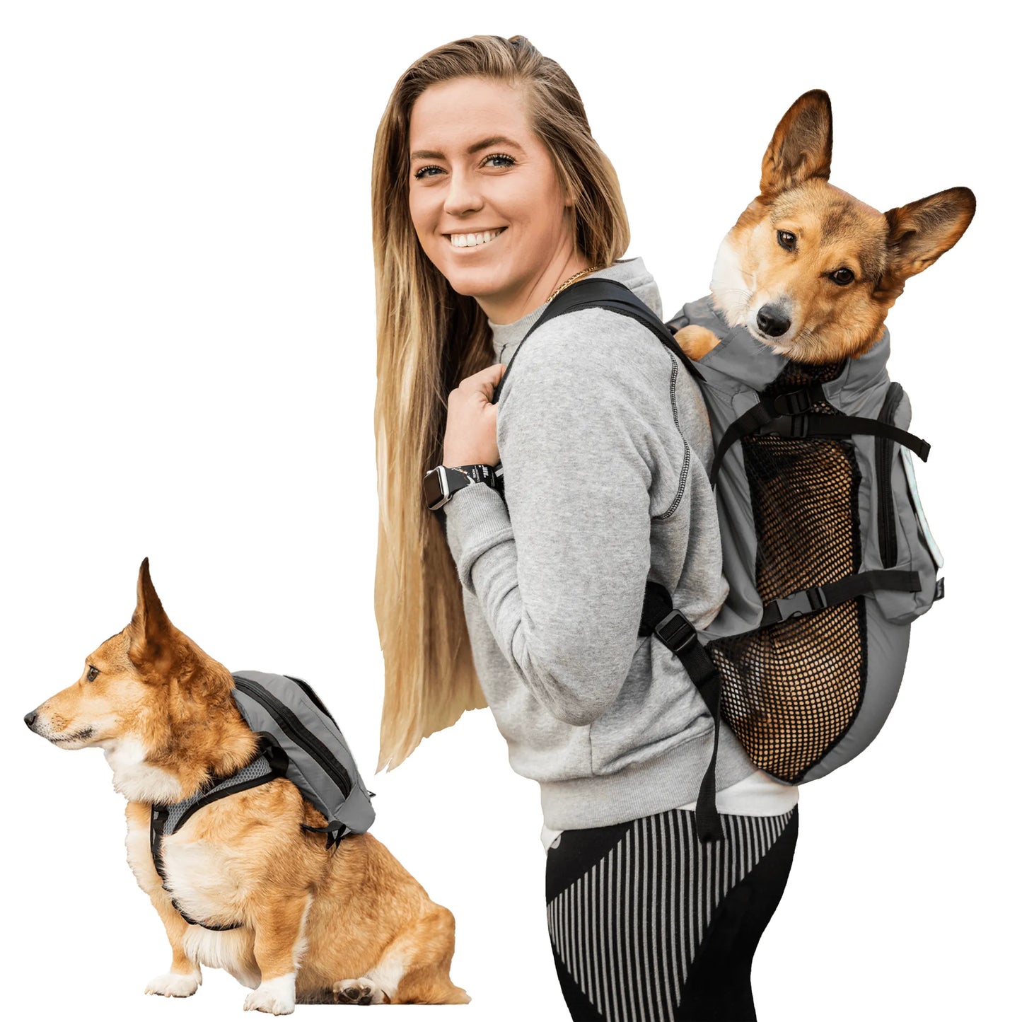 Walk-On with Harness & Storage - Your Pet Connection