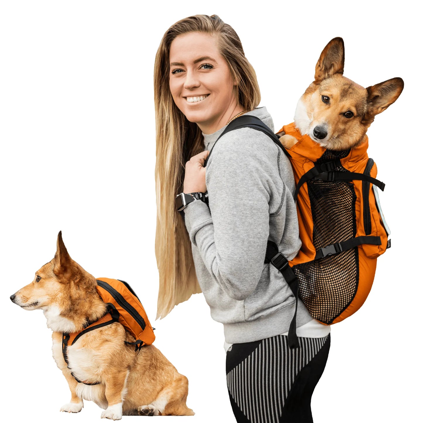 Walk-On with Harness & Storage - Your Pet Connection