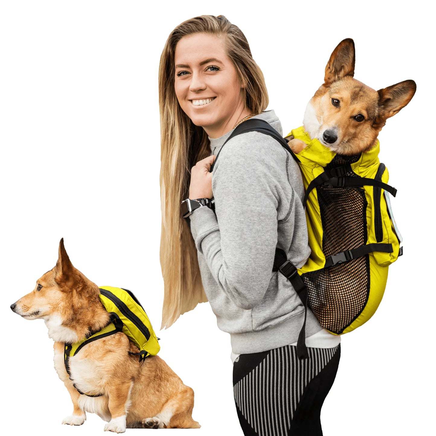 Walk-On with Harness & Storage - Your Pet Connection
