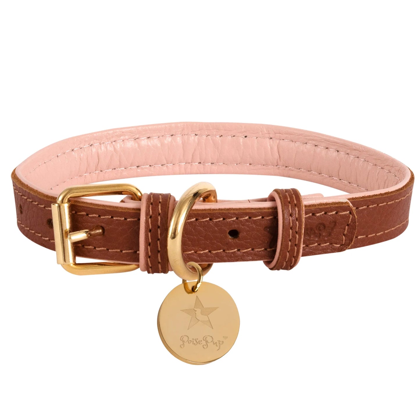 Dog Collar - Your Pet Connection