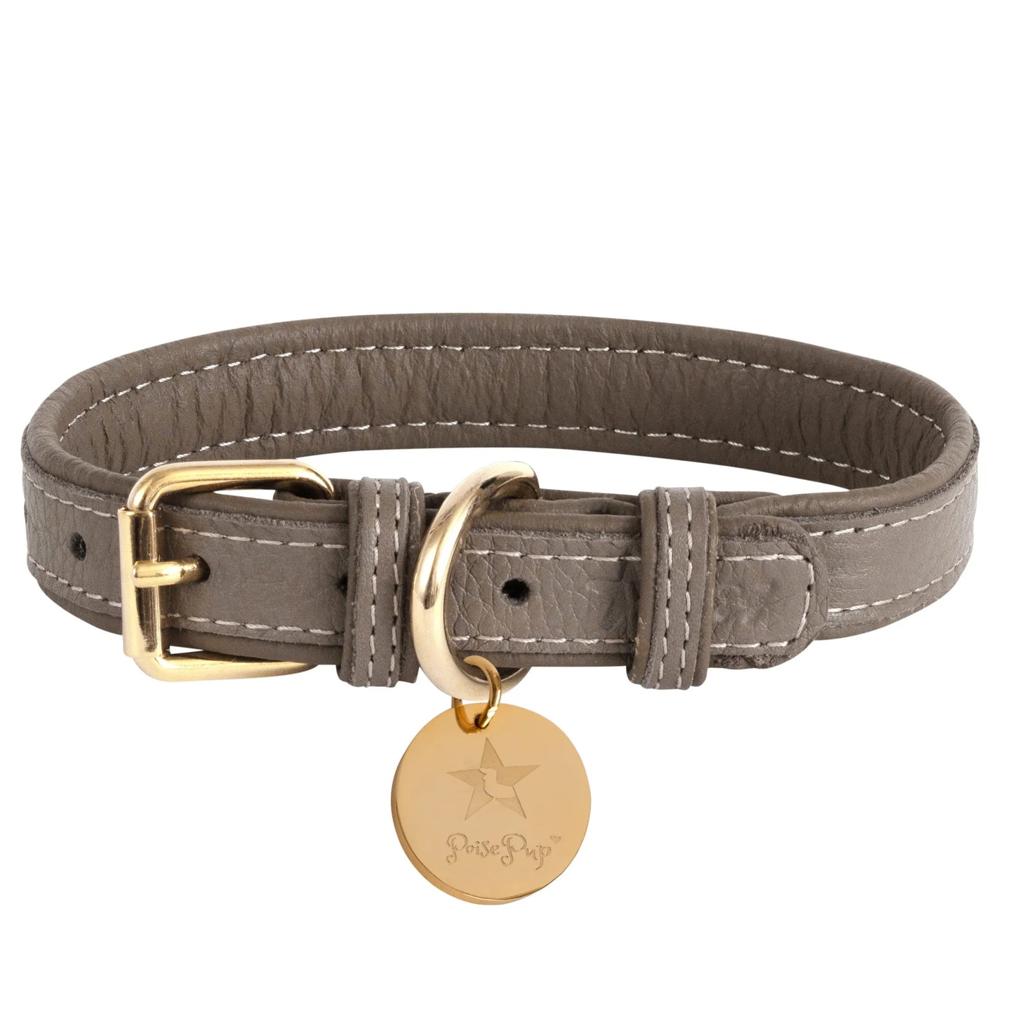 Dog Collar - Your Pet Connection