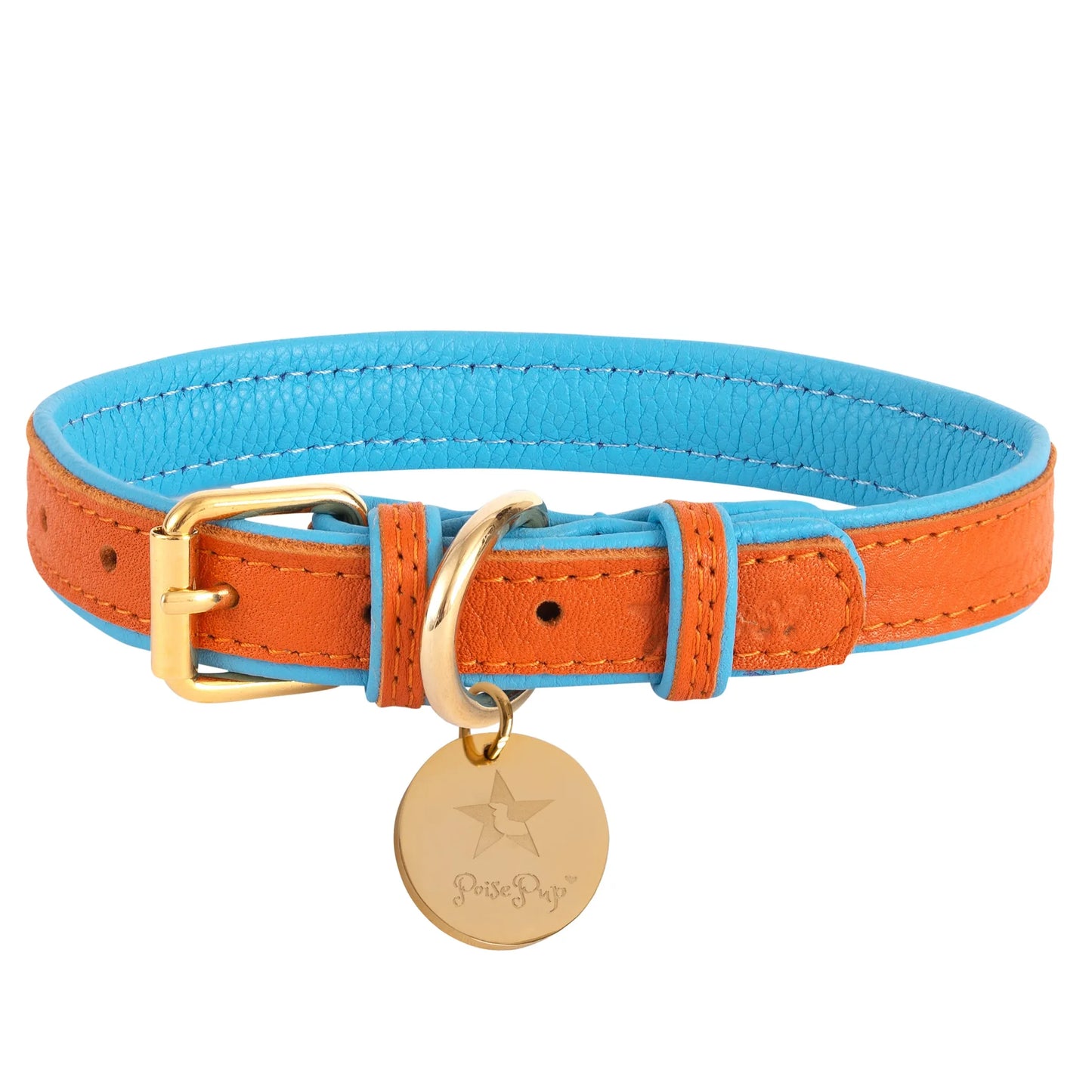 Dog Collar - Your Pet Connection