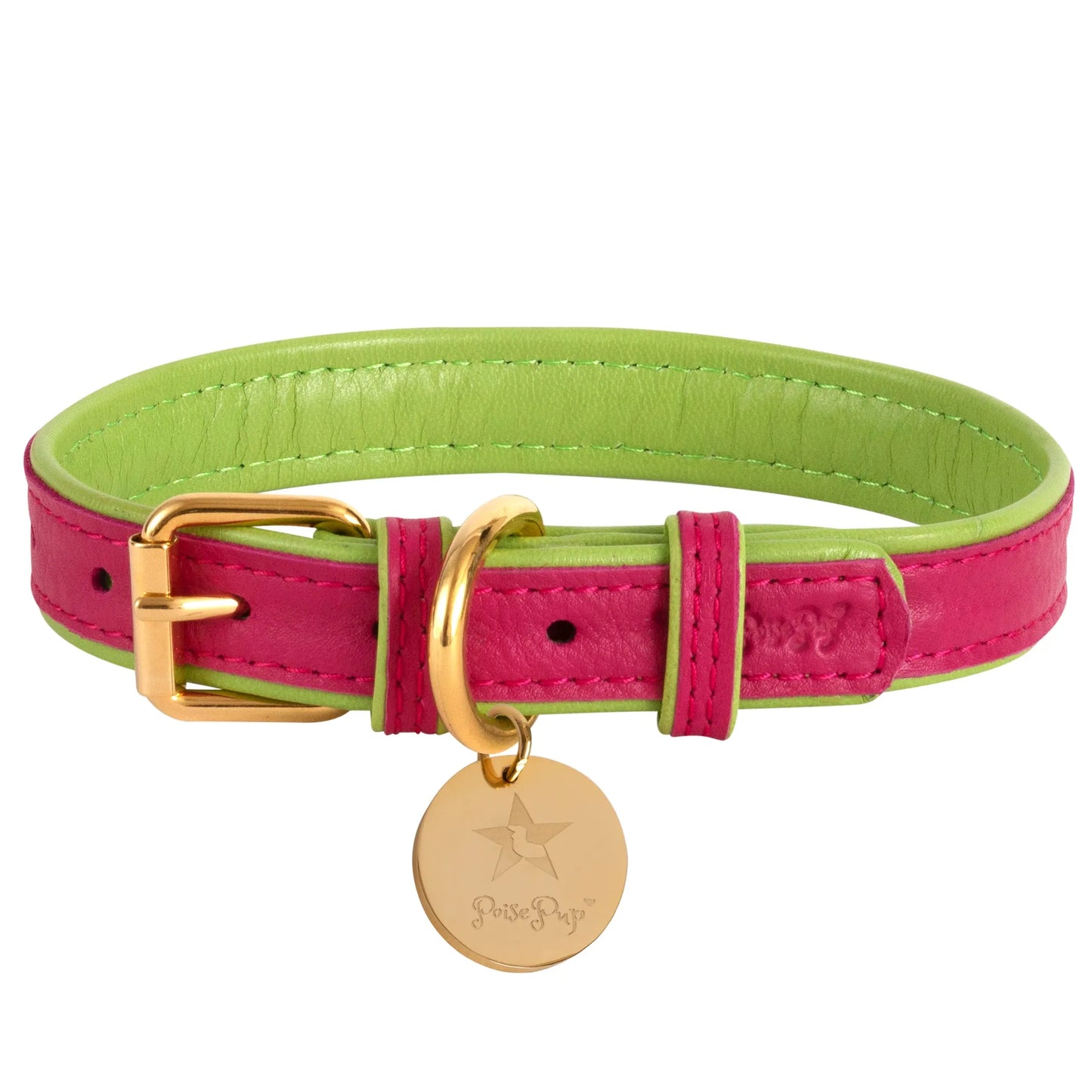 Dog Collar - Your Pet Connection