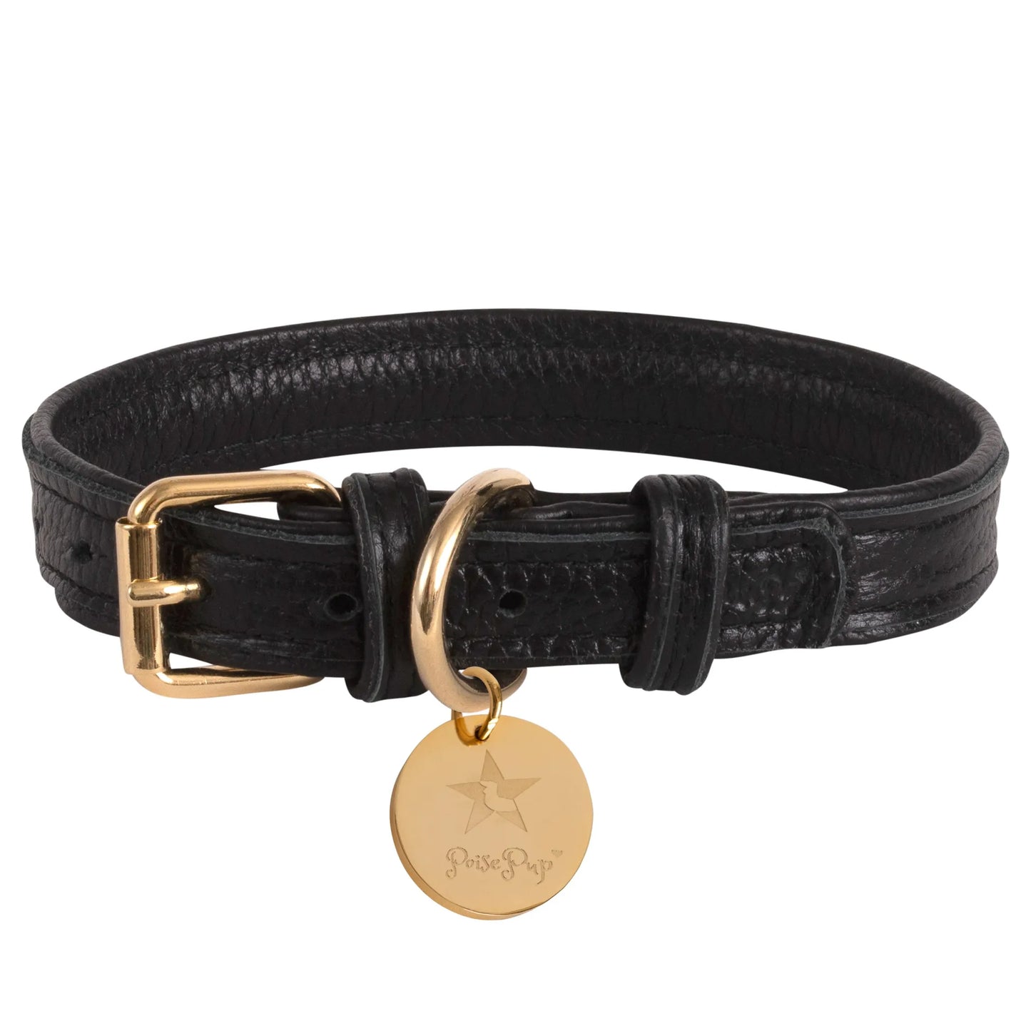 Dog Collar - Your Pet Connection