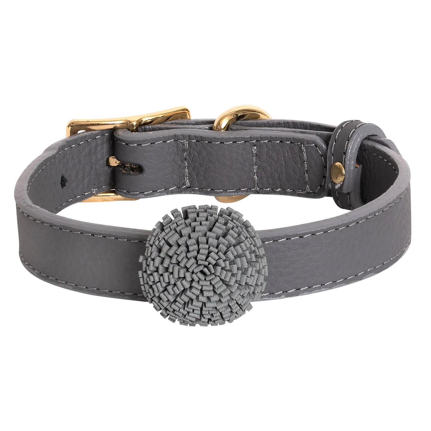 Dog Collar - Your Pet Connection