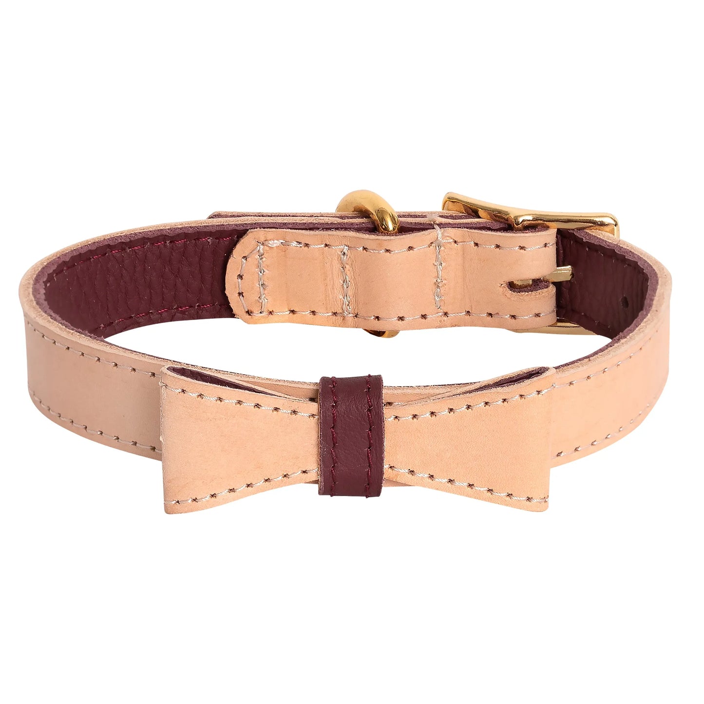 Dog Collar - Your Pet Connection