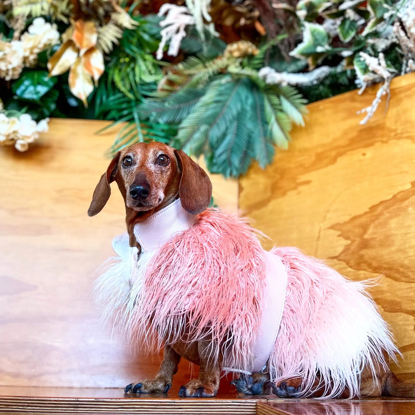 Mink Faux-Fur Vest - Your Pet Connection