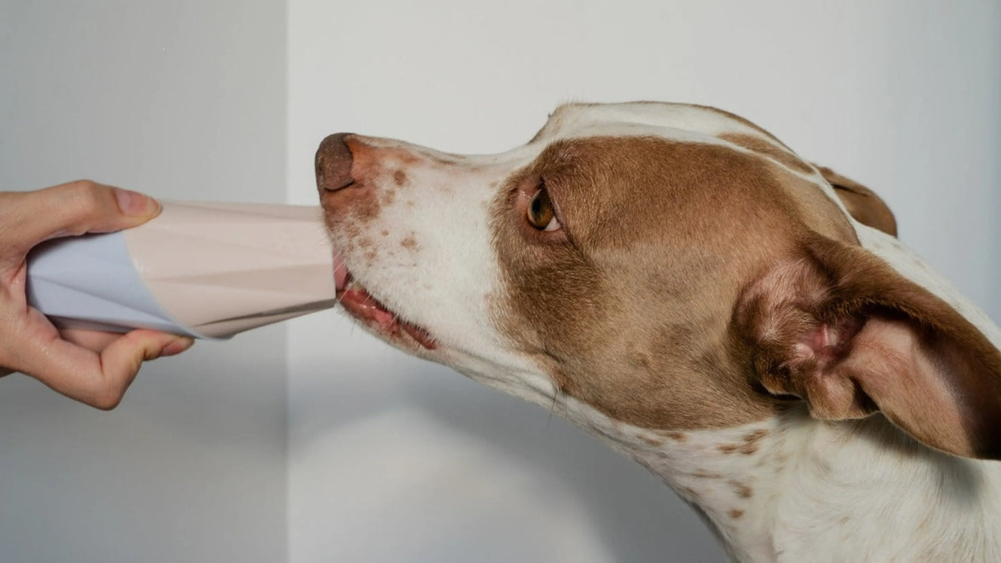 The Ubbe - Treat Filler Chew Toy Made for Easy Cleaning - Your Pet Connection