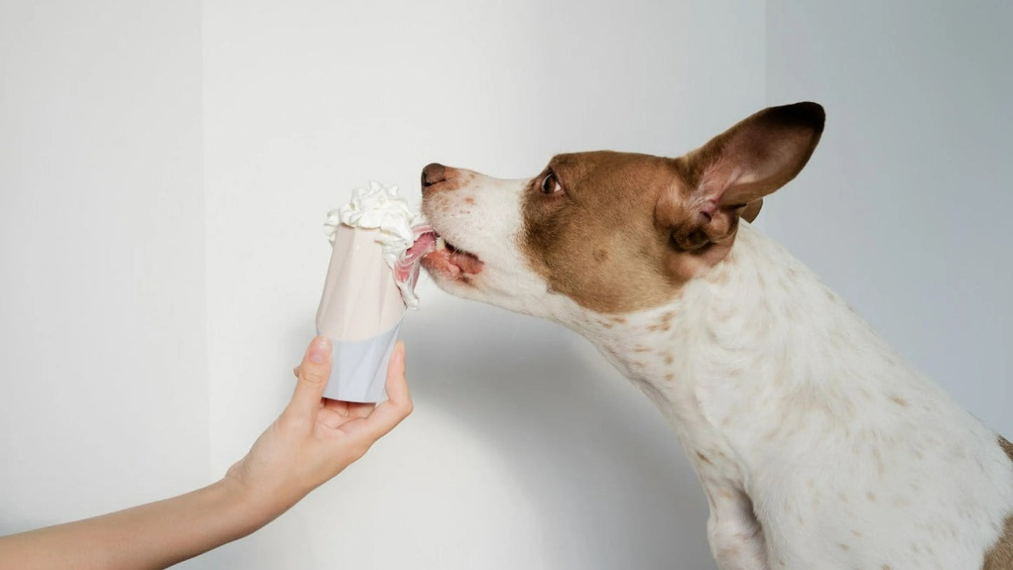 The Ubbe - Treat Filler Chew Toy Made for Easy Cleaning - Your Pet Connection