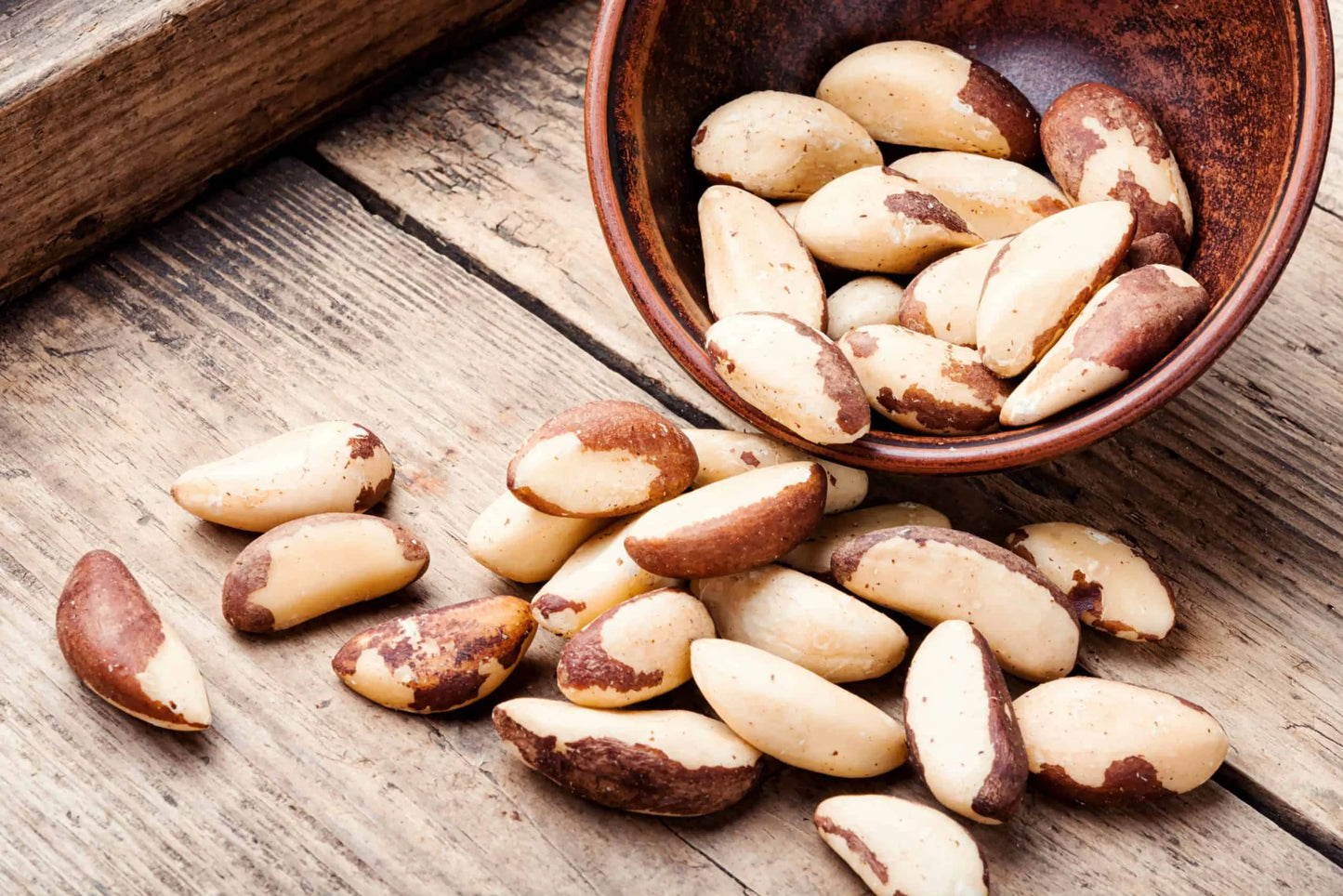 Brazil Nut - Skin, Coat & Weight Gain Support* The Petz Kitchen Dog & Cat Holistic Super Foods* - Your Pet Connection