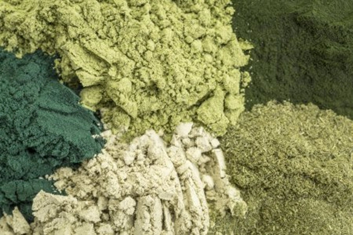 Daily Greens Glow Multi-Vitamin & Multi-Mineral Support* Flavored Meal Topper For Dogs And Cats* - Your Pet Connection