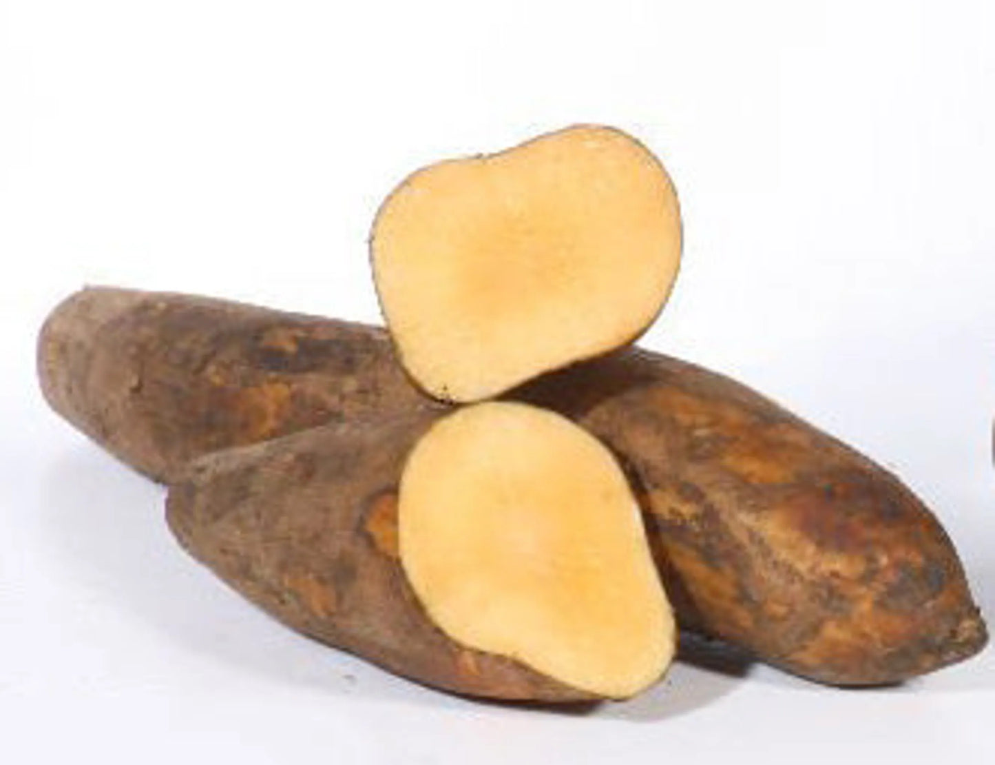 Yacon Leaf - Antioxidant Pancreatic Support* Glycemic & Glucose Support* The Petz Kitchen - Organic Human Grade Ingredients For Home Prepared Meals & Treats - Your Pet Connection