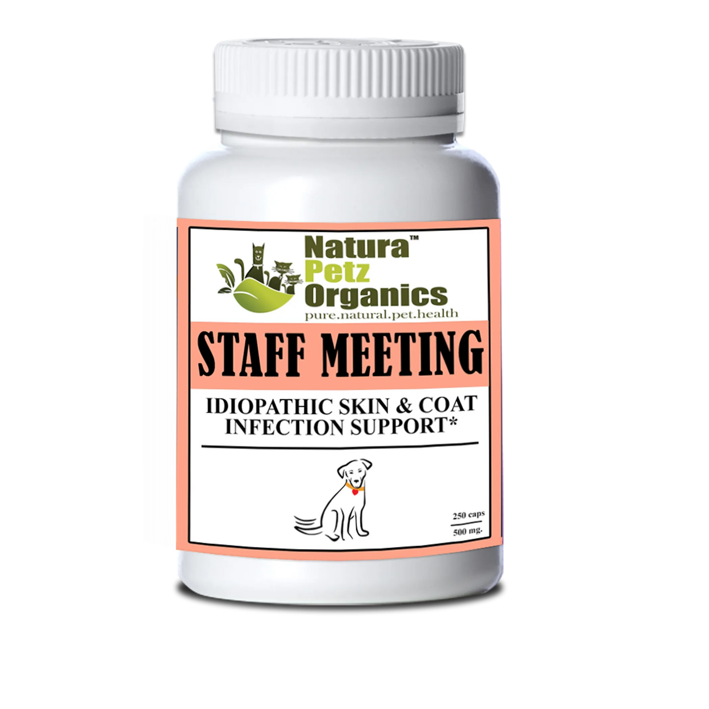 Staff Meeting* Idiopathic Skin & Coat Infection* Support For Dogs And Cats* - Your Pet Connection