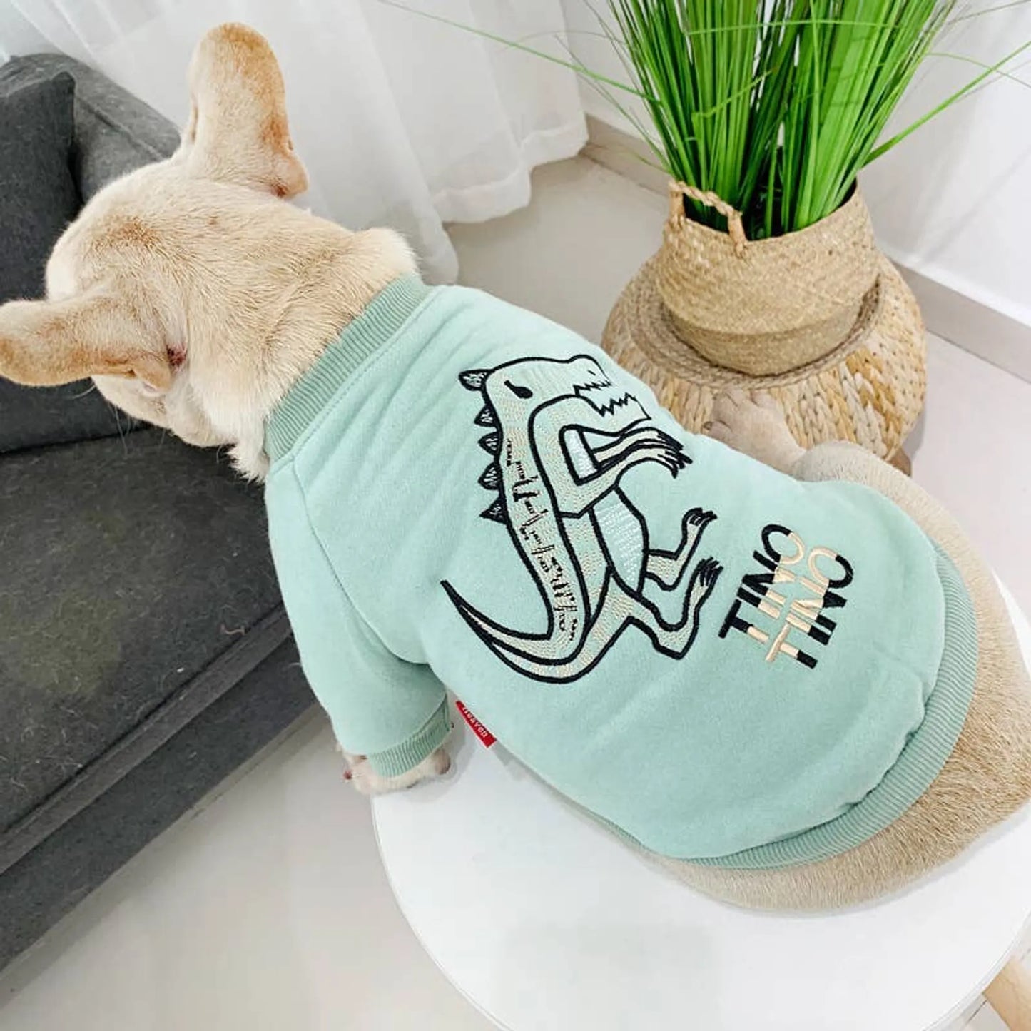 Dinosaur Love - Matching Pet and Owner Clothing Set - Your Pet Connection