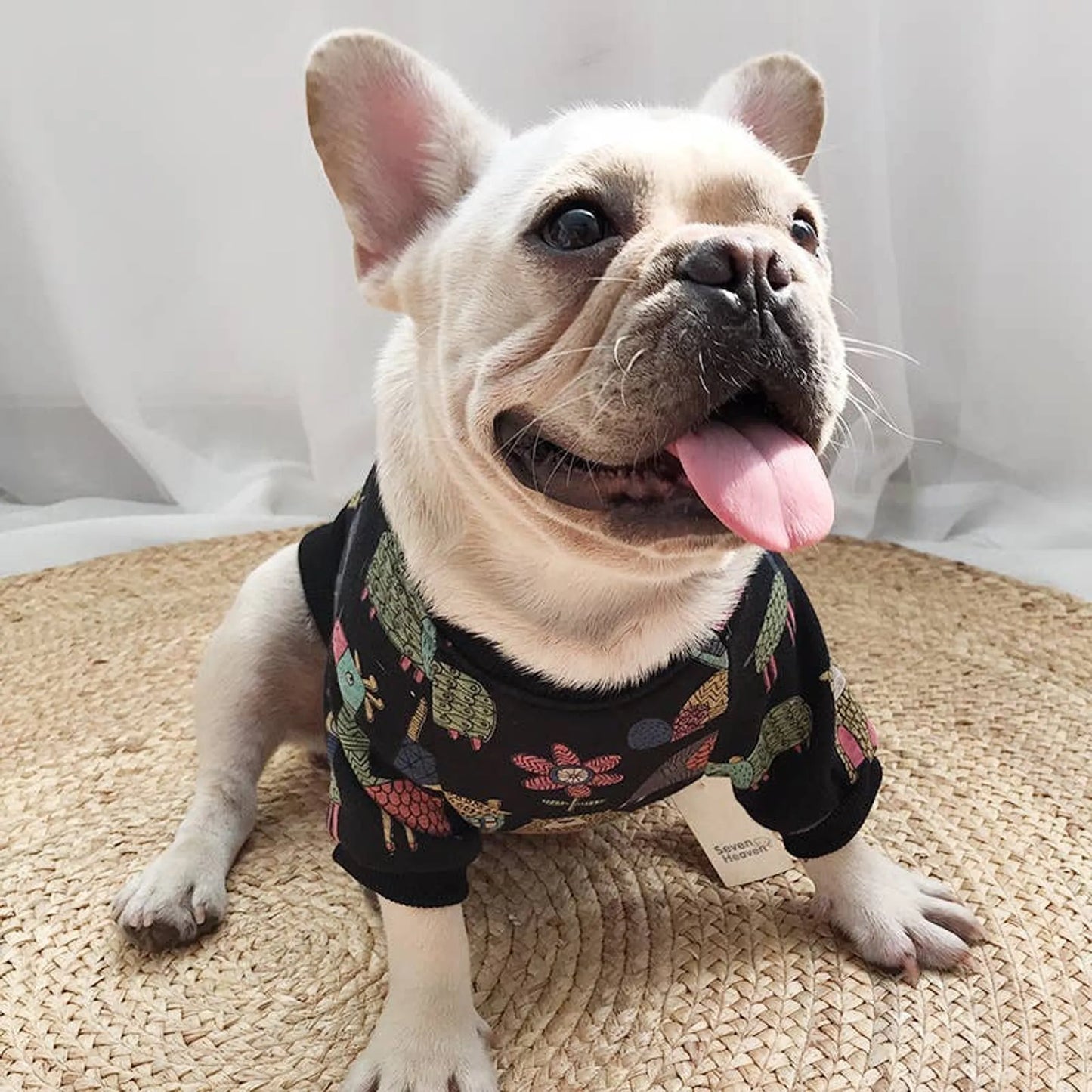 Animal Pattern - Matching Pet and Owner Clothing Set - Your Pet Connection