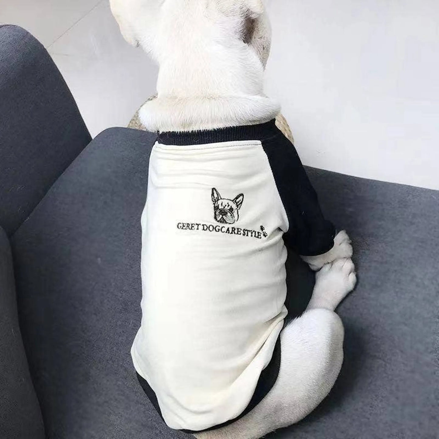 French Bulldog - Matching Pet and Owner Clothing Set - Your Pet Connection