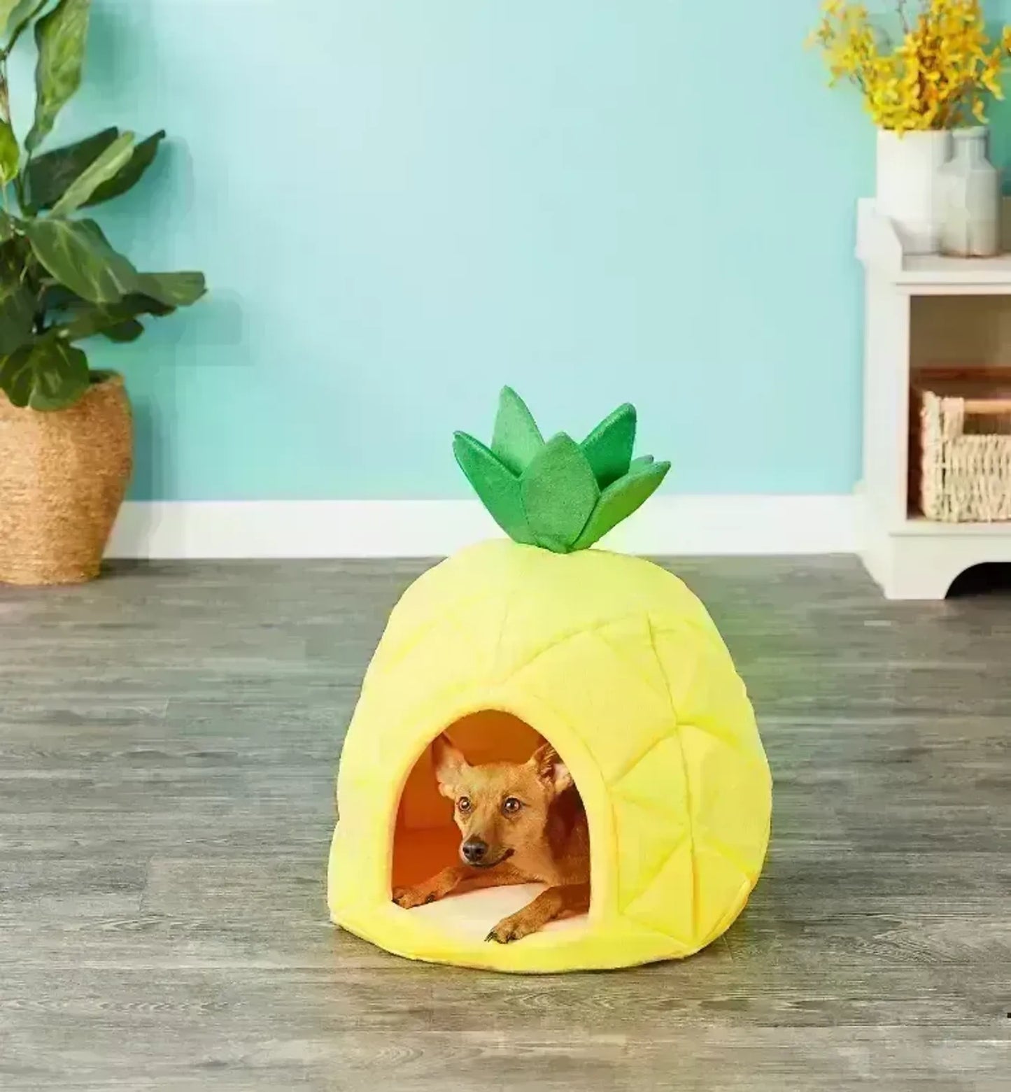 YML Pineapple Pet Bed House - Your Pet Connection