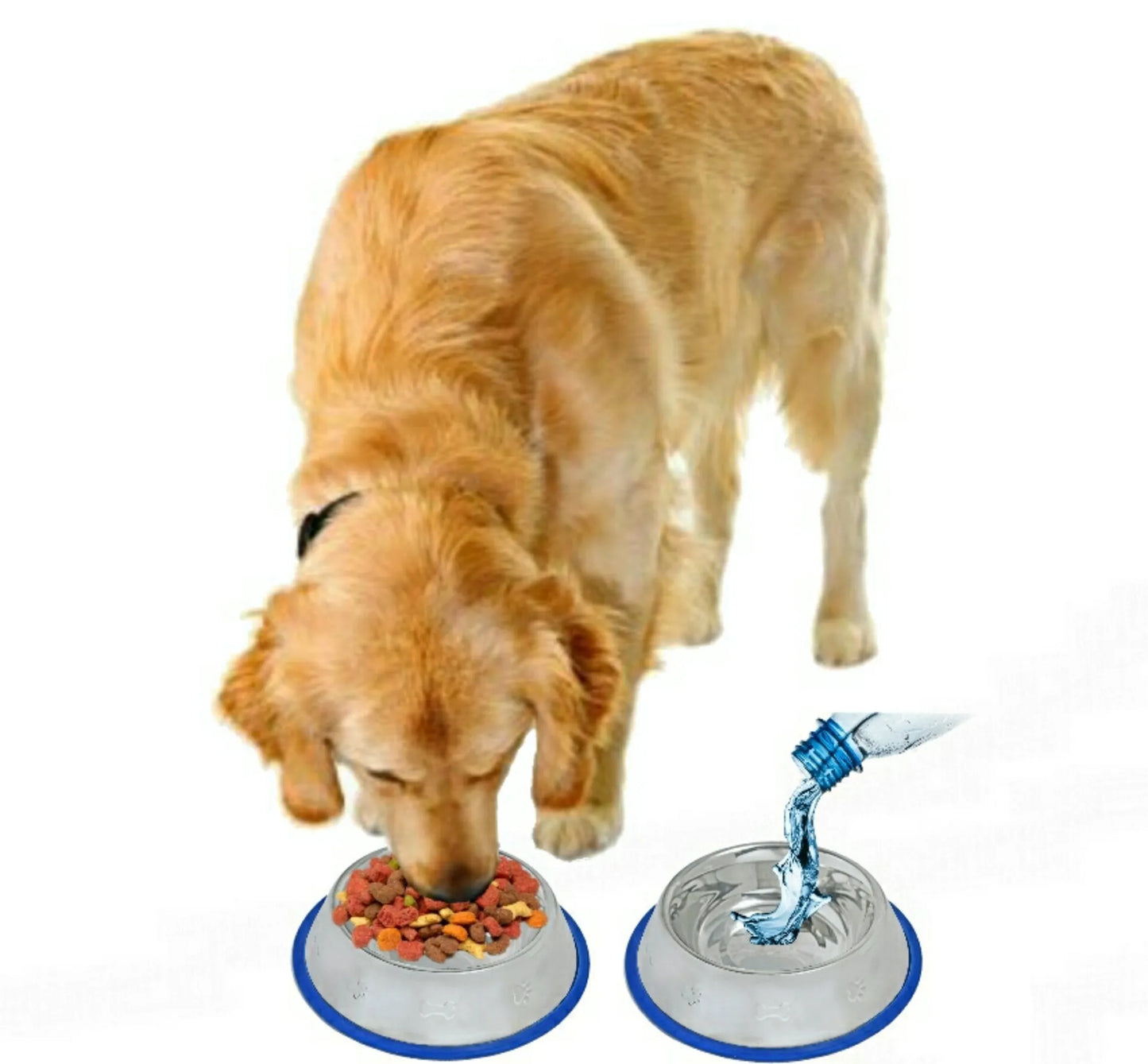 Etched Stainless Steel Dog Bowls with Blue Silicone Base - Your Pet Connection