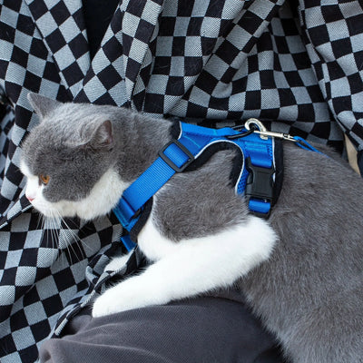 Mr. Peanut's Premium Products Reflective Cat Harness Set