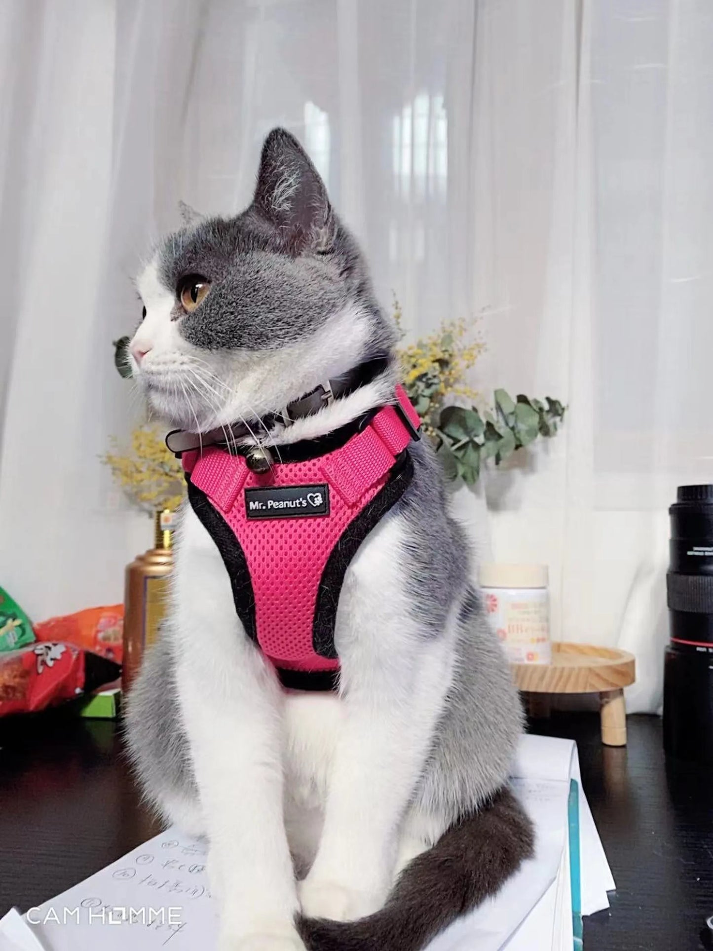 Mr. Peanut's PurrTrek Reflective Cat Harness with Matching Leash - Your Pet Connection