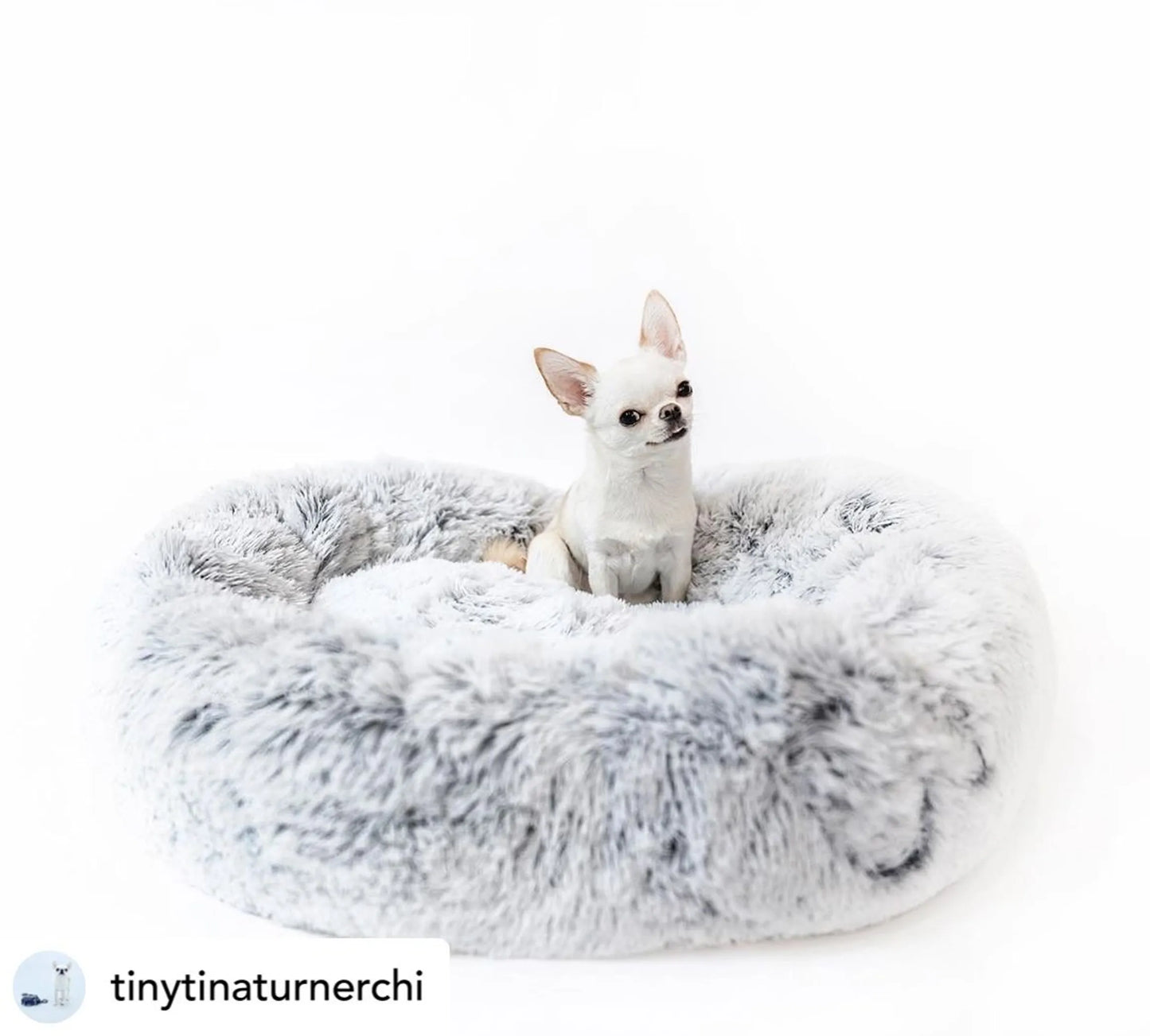 Mr. Peanut's OrthoPlush Pet Bed - Your Pet Connection